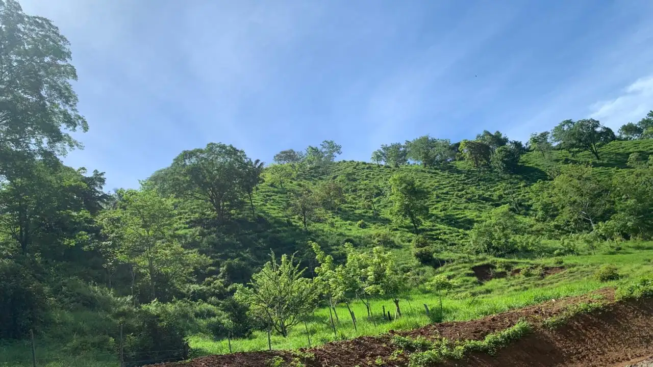 Green natural landscape in Costa Rica